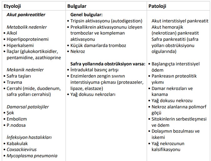 storage.php?o=bx_glossary_files&f=efnrgabwa5k2vjgaqhas8xs4bwclvskg.jpg