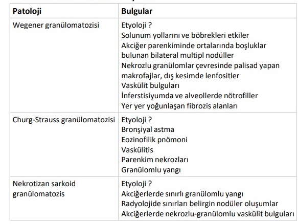 storage.php?o=bx_glossary_files&f=w54kpa2jht3tesbvb2pha2xczzmujswl.jpg