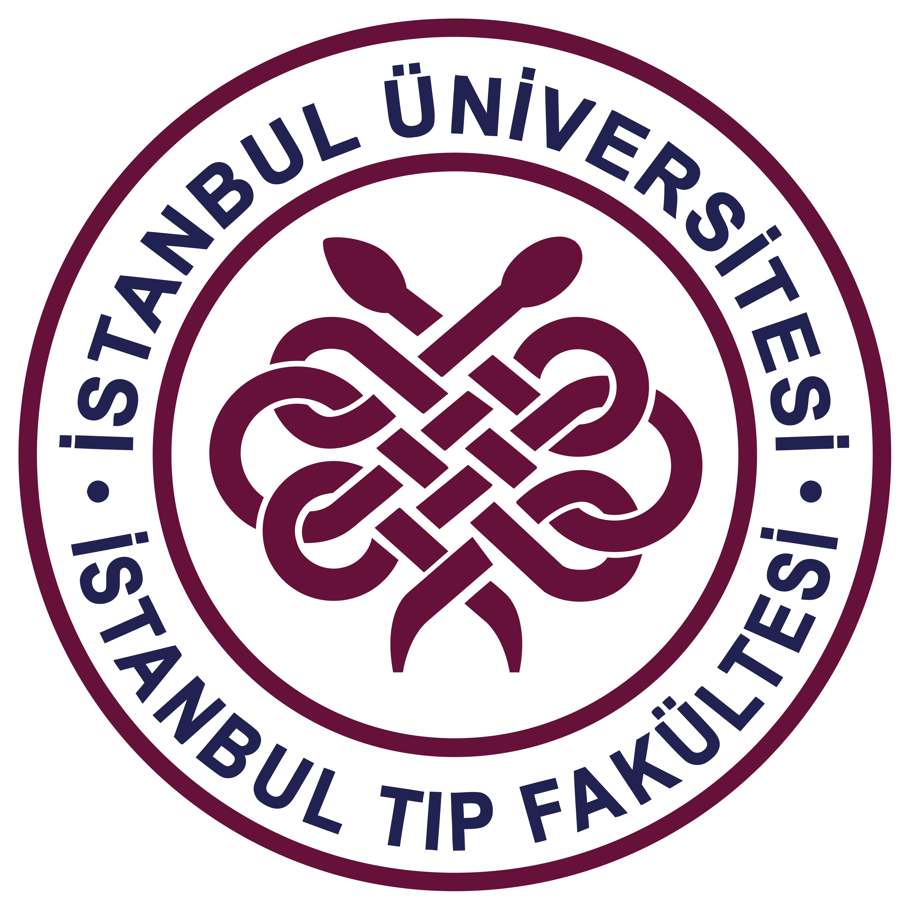 İstanbul Üniversitesiİstanbul Tıp Fakültesi